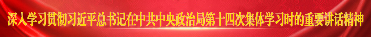 深入學習貫徹習近平總書記在中共中央政治局第十四次集體學習時的重要講話精神